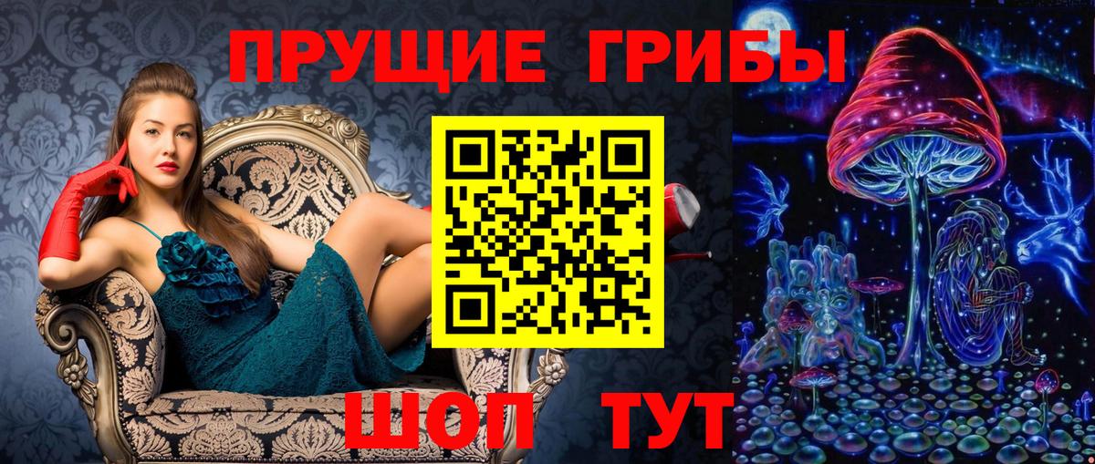Верхняя Салда  Псилоцибиновые грибы прущие грибы  Вход с VPN 