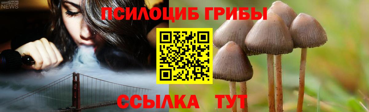 Псилоцибиновые грибы прущие грибы Верхняя Салда